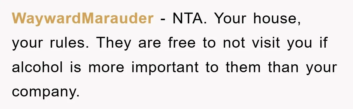 WaywardMarauder − NTA. Your house, your rules. They are free to not visit you if alcohol is more important to them than your company.