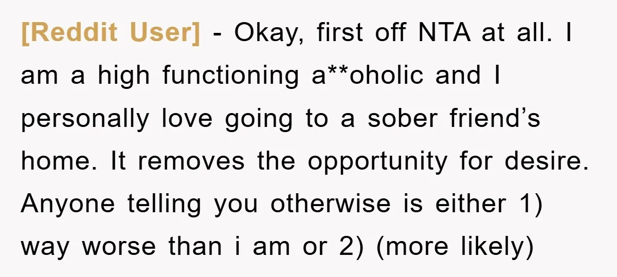 [Reddit User] − Okay, first off NTA at all. I am a high functioning a**oholic and I personally love going to a sober friend’s home. It removes the opportunity for...