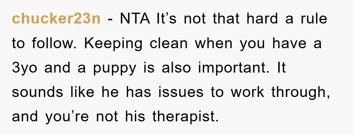 chucker23n − NTA It’s not that hard a rule to follow. Keeping clean when you have a 3yo and a puppy is also important. It sounds like he has issues...