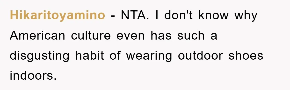 Hikaritoyamino − NTA. I don't know why American culture even has such a disgusting habit of wearing outdoor shoes indoors.