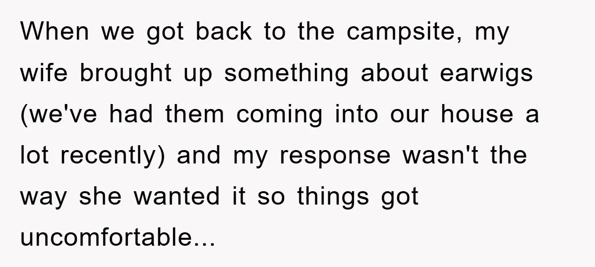 When we got back to the campsite, my wife brought up something about earwigs (we've had them coming into our house a lot recently) and my response wasn't the way...