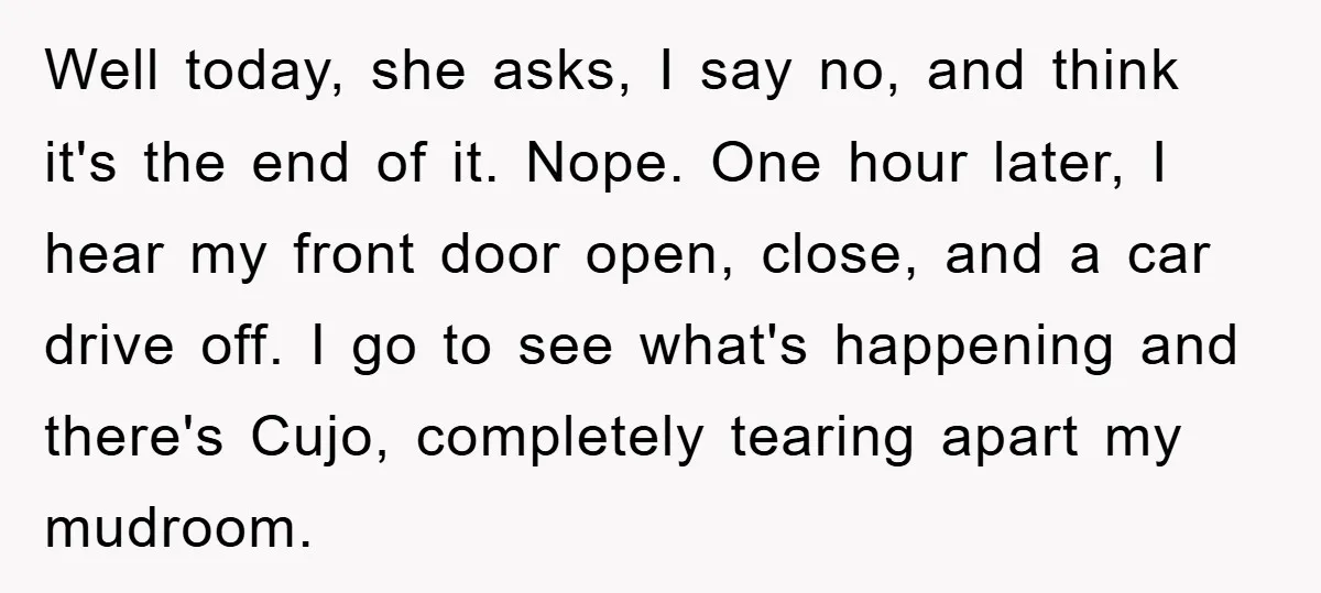 Well today, she asks, I say no, and think it's the end of it. Nope. One hour later, I hear my front door open, close, and a car drive off....