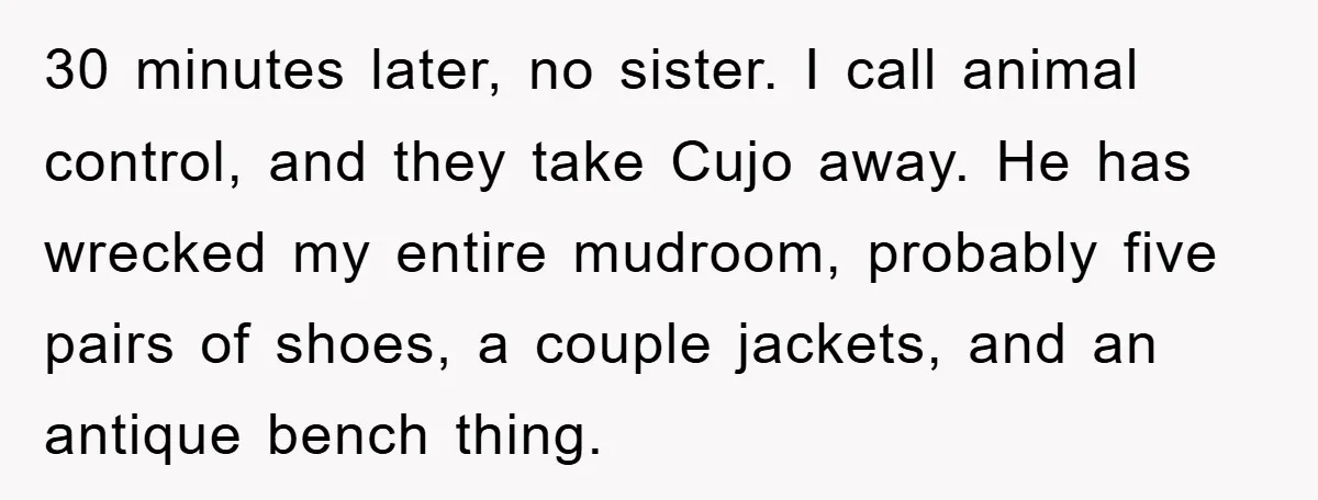 30 minutes later, no sister. I call animal control, and they take Cujo away. He has wrecked my entire mudroom, probably five pairs of shoes, a couple jackets, and an...