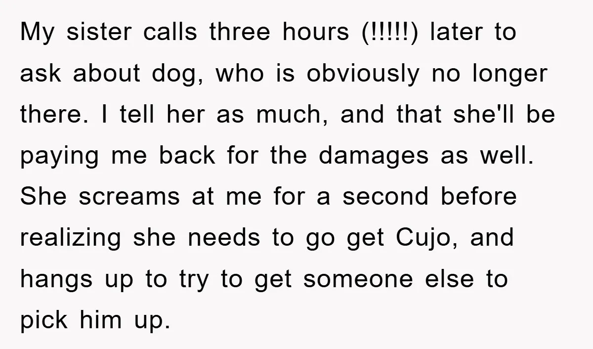 My sister calls three hours (!!!!!) later to ask about dog, who is obviously no longer there. I tell her as much, and that she'll be paying me back for...