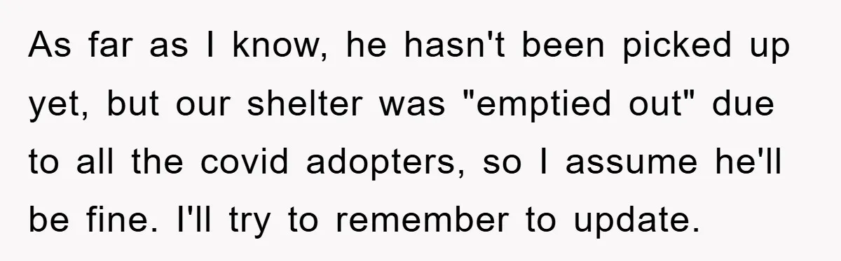As far as I know, he hasn't been picked up yet, but our shelter was "emptied out" due to all the covid adopters, so I assume he'll be fine. I'll...