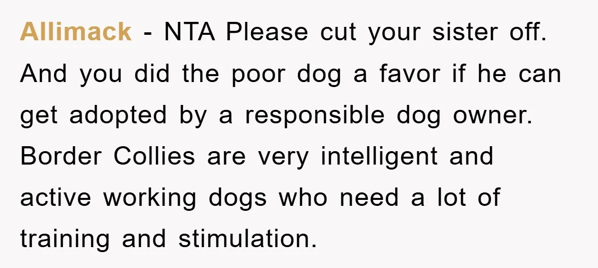 Allimack − NTA Please cut your sister off. And you did the poor dog a favor if he can get adopted by a responsible dog owner. Border Collies are very...
