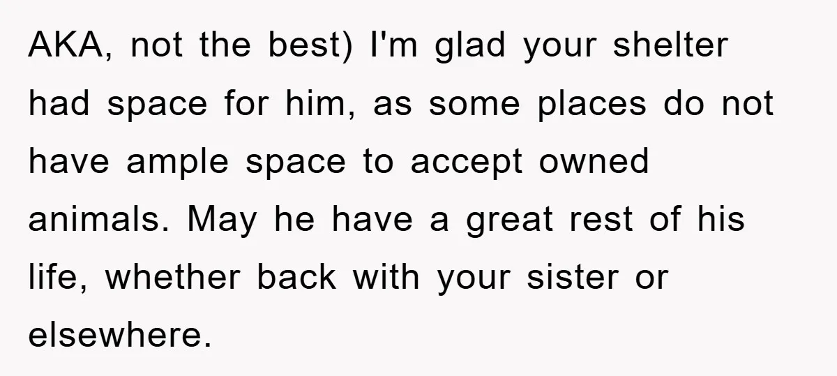 AKA, not the best) I'm glad your shelter had space for him, as some places do not have ample space to accept owned animals. May he have a great rest...