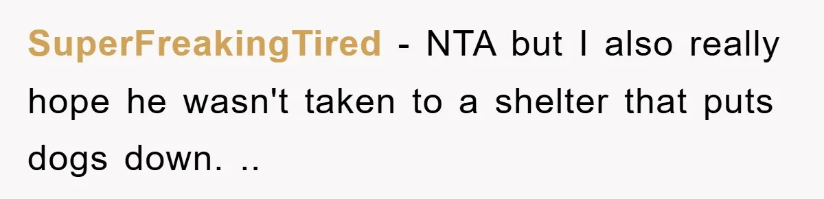 SuperFreakingTired − NTA but I also really hope he wasn't taken to a shelter that puts dogs down. ..