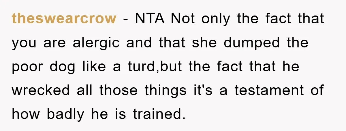 theswearcrow − NTA Not only the fact that you are alergic and that she dumped the poor dog like a turd,but the fact that he wrecked all those things it's...