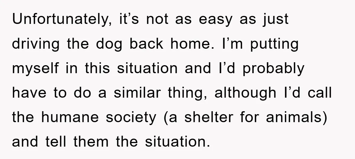 Unfortunately, it’s not as easy as just driving the dog back home. I’m putting myself in this situation and I’d probably have to do a similar thing, although I’d call...