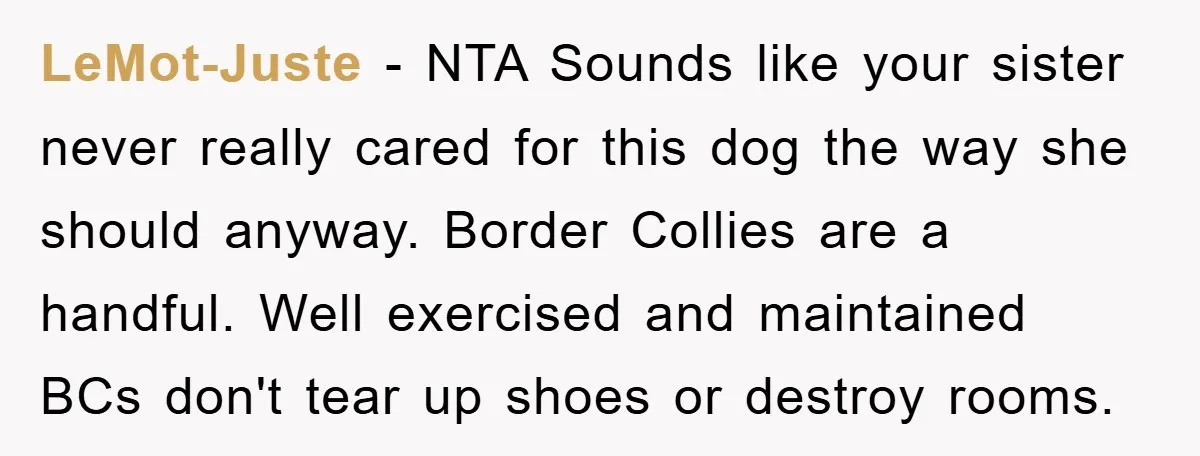 LeMot-Juste − NTA Sounds like your sister never really cared for this dog the way she should anyway. Border Collies are a handful. Well exercised and maintained BCs don't tear...