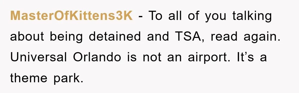 MasterOfKittens3K − To all of you talking about being detained and TSA, read again. Universal Orlando is not an airport. It’s a theme park.