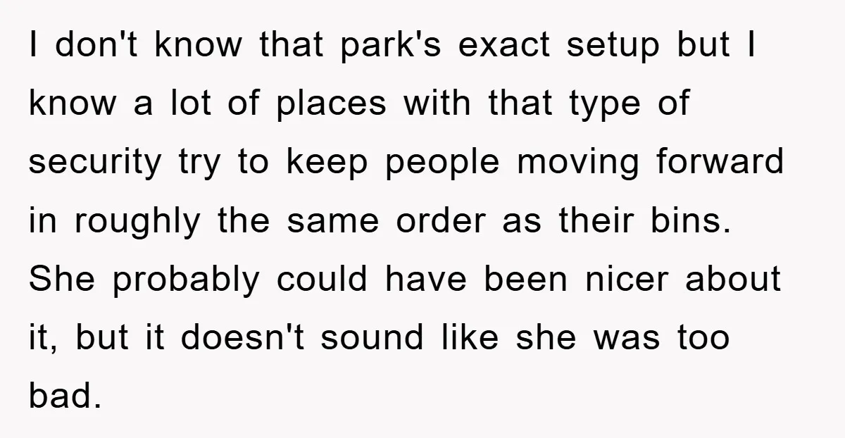 I don't know that park's exact setup but I know a lot of places with that type of security try to keep people moving forward in roughly the same order...