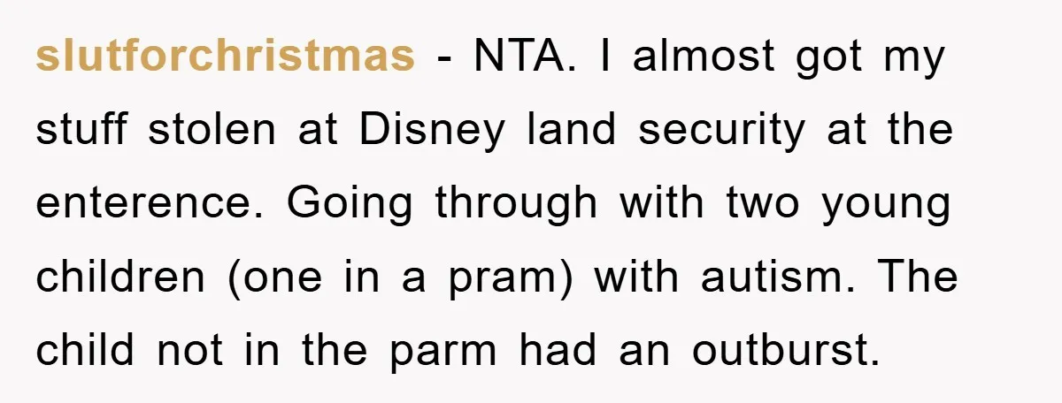 slutforchristmas − NTA. I almost got my stuff stolen at Disney land security at the enterence. Going through with two young children (one in a pram) with autism. The child...