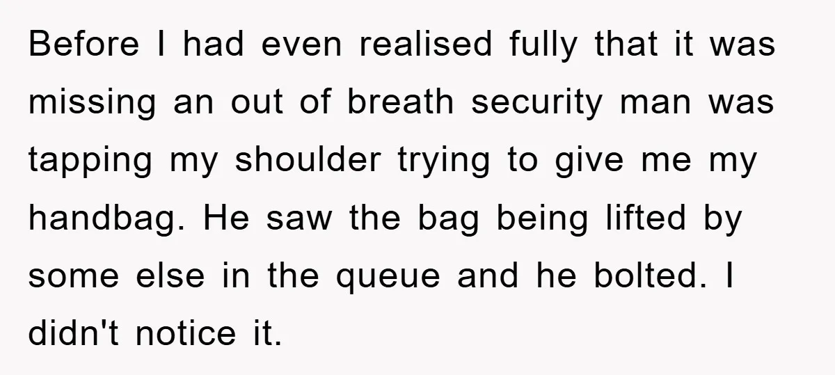 Before I had even realised fully that it was missing an out of breath security man was tapping my shoulder trying to give me my handbag. He saw the bag...