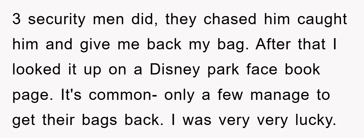 3 security men did, they chased him caught him and give me back my bag. After that I looked it up on a Disney park face book page. It's common-...