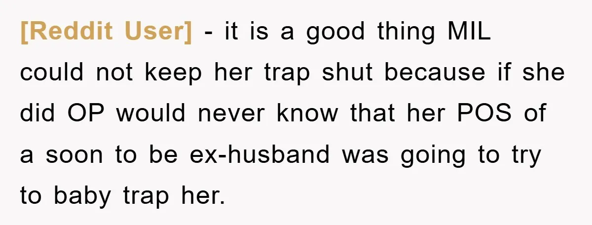 [Reddit User] - it is a good thing MIL could not keep her trap shut because if she did OP would never know that her POS of a soon to...