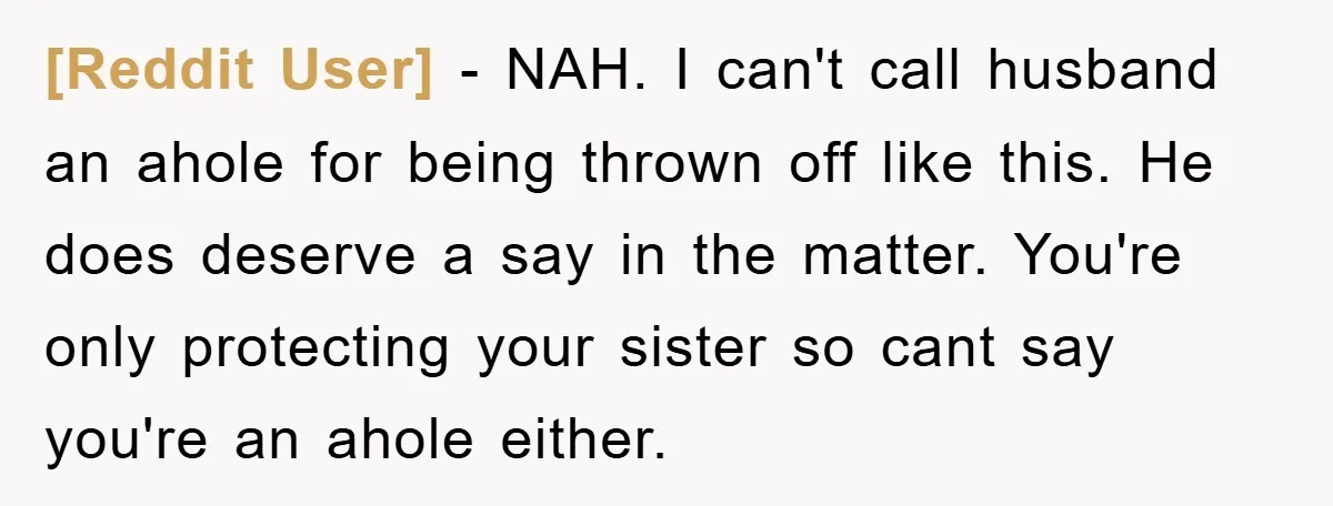 [Reddit User] − NAH. I can't call husband an ahole for being thrown off like this. He does deserve a say in the matter. You're only protecting your sister so...