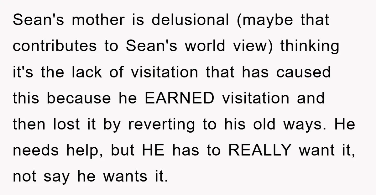 Sean's mother is delusional (maybe that contributes to Sean's world view) thinking it's the lack of visitation that has caused this because he EARNED visitation and then lost it by...