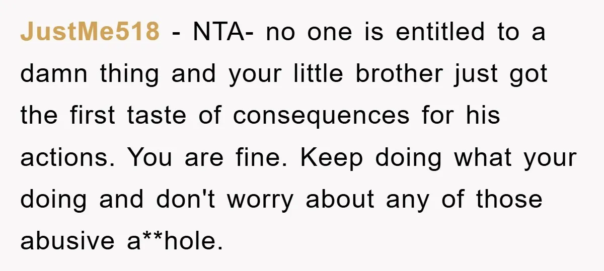 JustMe518 − NTA- no one is entitled to a damn thing and your little brother just got the first taste of consequences for his actions. You are fine. Keep doing...
