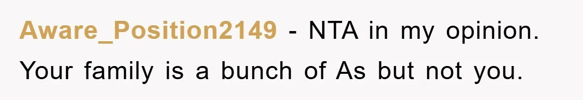 Aware_Position2149 − NTA in my opinion. Your family is a bunch of As but not you.