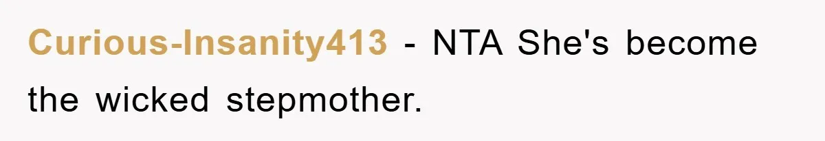 Curious-Insanity413 - NTA She's become the wicked stepmother.