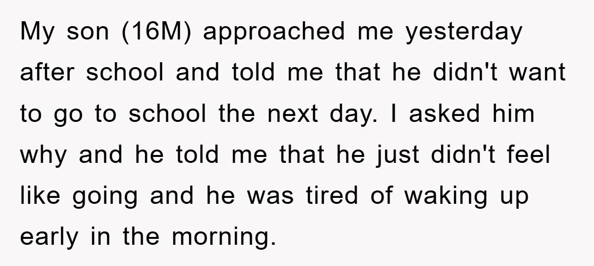 My son (16M) approached me yesterday after school and told me that he didn't want to go to school the next day. I asked him why and he told me...