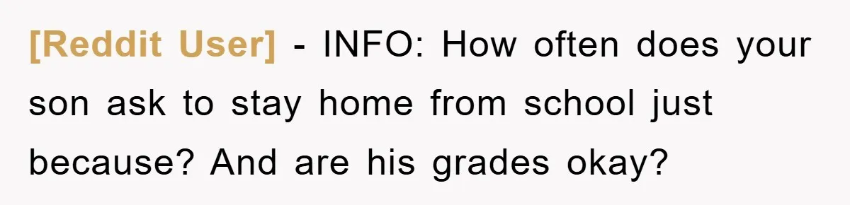 [Reddit User] − INFO: How often does your son ask to stay home from school just because? And are his grades okay?