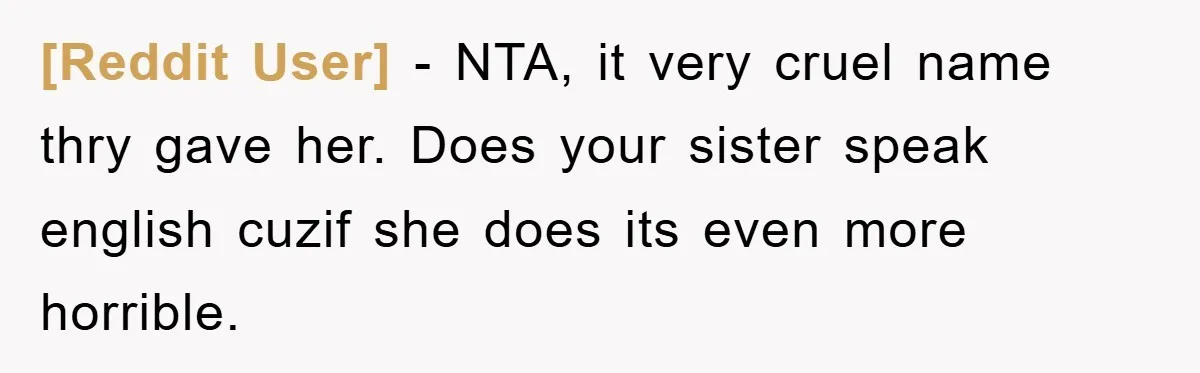 [Reddit User] − NTA, it very cruel name thry gave her. Does your sister speak english cuzif she does its even more horrible.