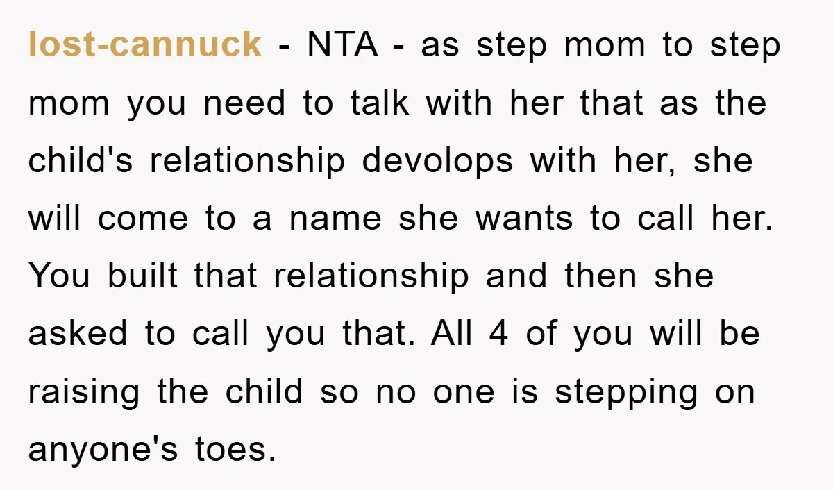 lost-cannuck − NTA - as step mom to step mom you need to talk with her that as the child's relationship devolops with her, she will come to a name...