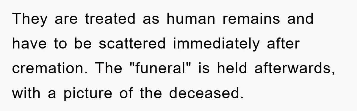 They are treated as human remains and have to be scattered immediately after cremation. The "funeral" is held afterwards, with a picture of the deceased.