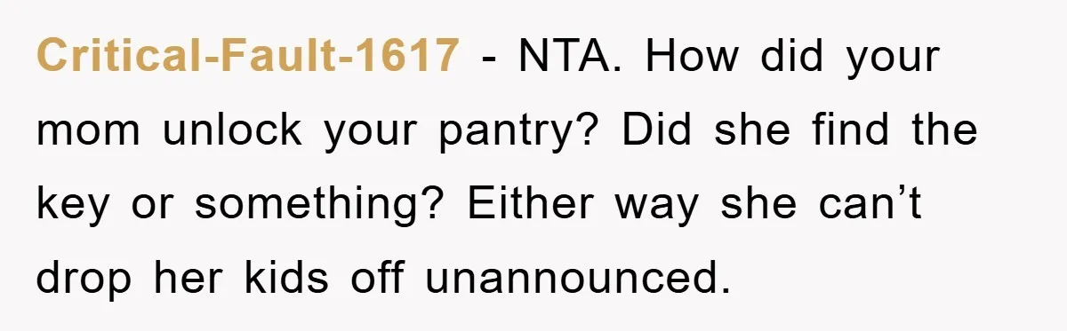 Critical-Fault-1617 - NTA. How did your mom unlock your pantry? Did she find the key or something? Either way she can’t drop her kids off unannounced.