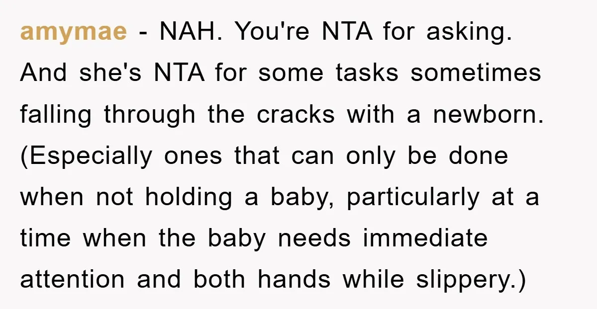amymae − NAH. You're NTA for asking. And she's NTA for some tasks sometimes falling through the cracks with a newborn. (Especially ones that can only be done when not...
