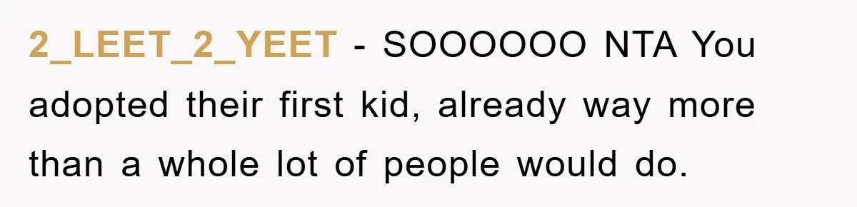 2_LEET_2_YEET − SOOOOOO NTA You adopted their first kid, already way more than a whole lot of people would do.