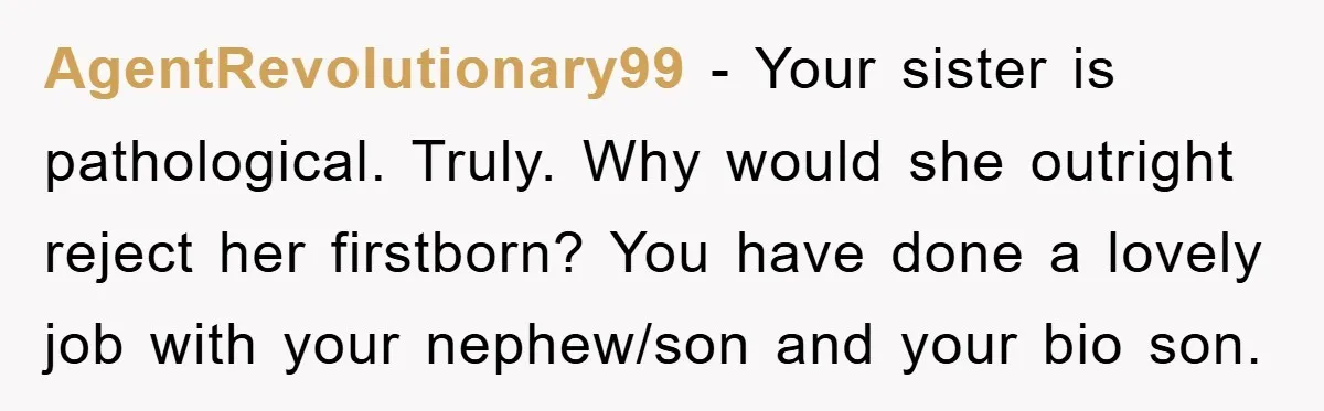 AgentRevolutionary99 − Your sister is pathological. Truly. Why would she outright reject her firstborn? You have done a lovely job with your nephew/son and your bio son.