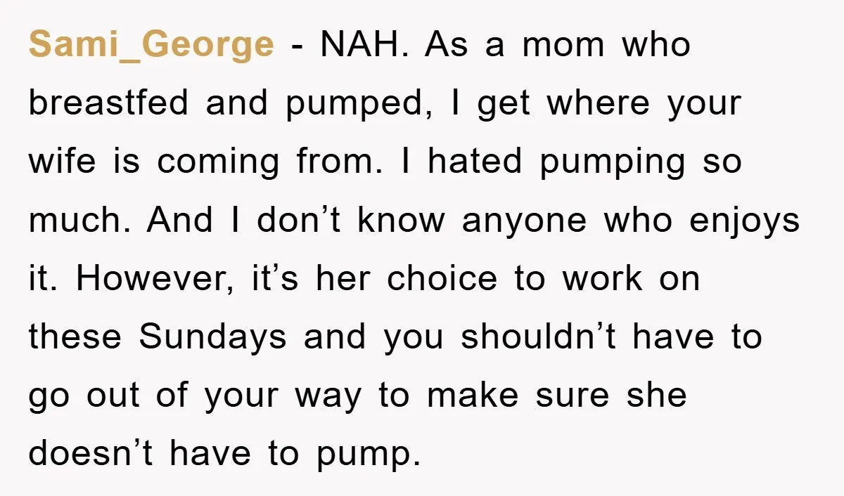 Sami_George − NAH. As a mom who breastfed and pumped, I get where your wife is coming from. I hated pumping so much. And I don’t know anyone who enjoys...