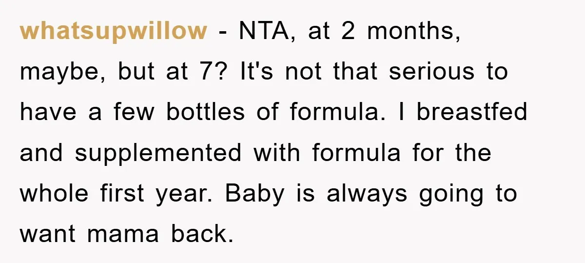 whatsupwillow − NTA, at 2 months, maybe, but at 7? It's not that serious to have a few bottles of formula. I breastfed and supplemented with formula for the whole...