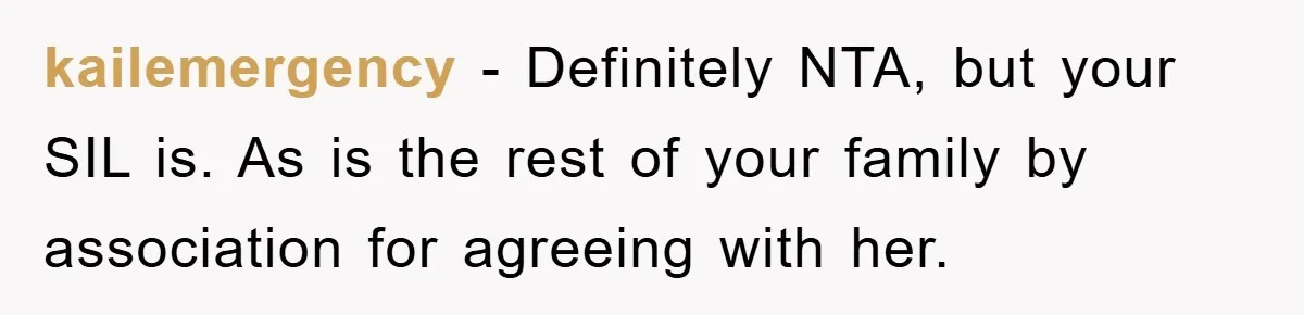 kailemergency - Definitely NTA, but your SIL is. As is the rest of your family by association for agreeing with her.
