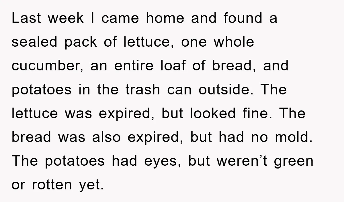 Last week I came home and found a sealed pack of lettuce, one whole cucumber, an entire loaf of bread, and potatoes in the trash can outside. The lettuce was...