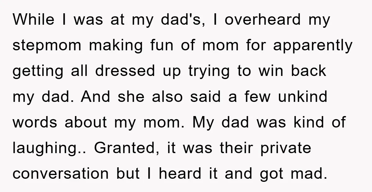 While I was at my dad's, I overheard my stepmom making fun of mom for apparently getting all dressed up trying to win back my dad. And she also said...