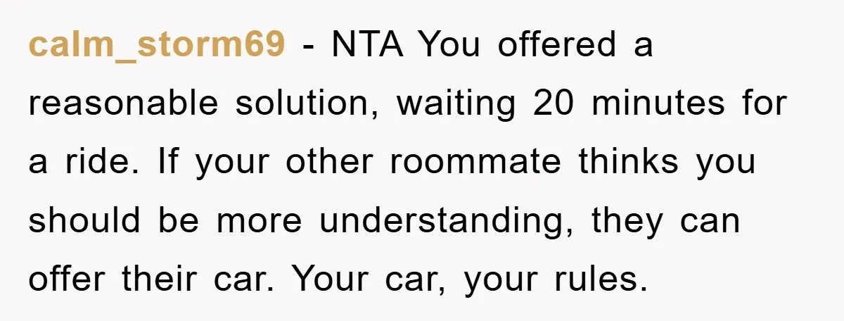 calm_storm69 − NTA You offered a reasonable solution, waiting 20 minutes for a ride. If your other roommate thinks you should be more understanding, they can offer their car. Your...