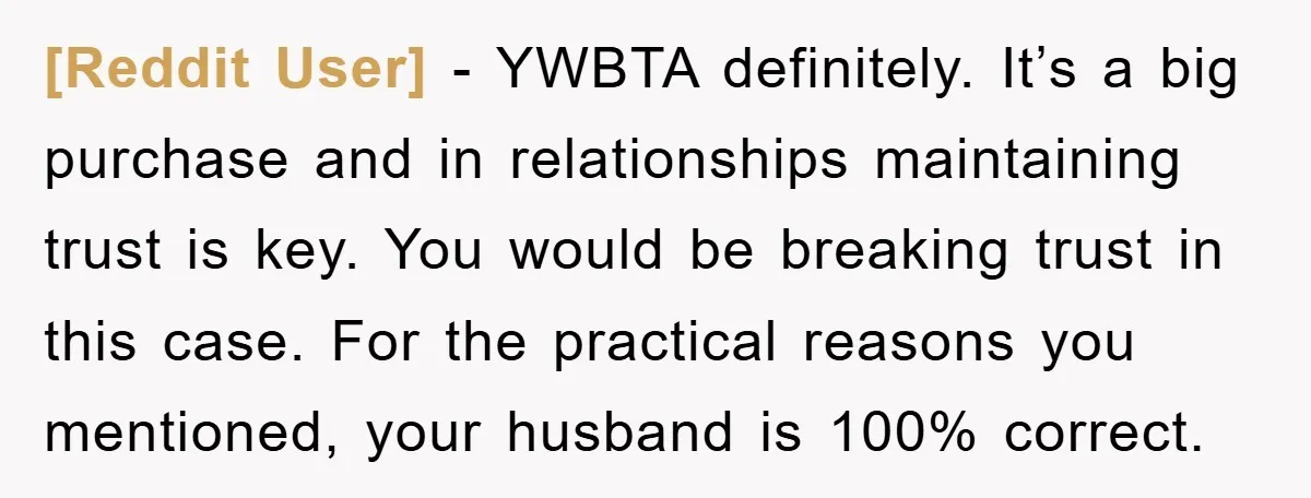 [Reddit User] - YWBTA definitely. It’s a big purchase and in relationships maintaining trust is key. You would be breaking trust in this case. For the practical reasons you mentioned,...