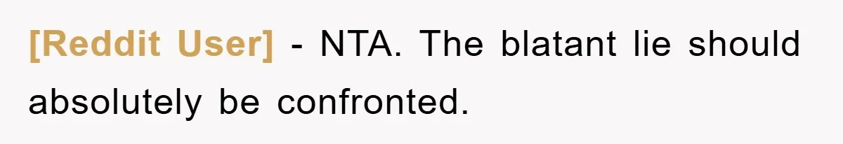 [Reddit User] - NTA. The blatant lie should absolutely be confronted.