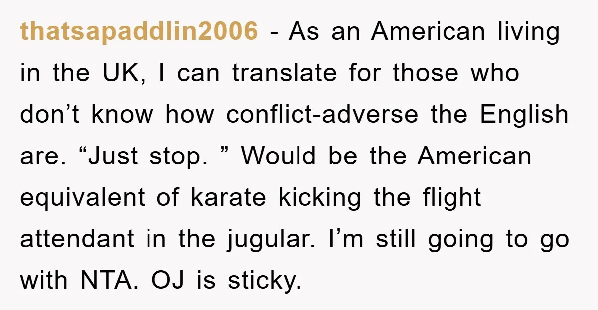 thatsapaddlin2006 − As an American living in the UK, I can translate for those who don’t know how conflict-adverse the English are. “Just stop. ” Would be the American equivalent...