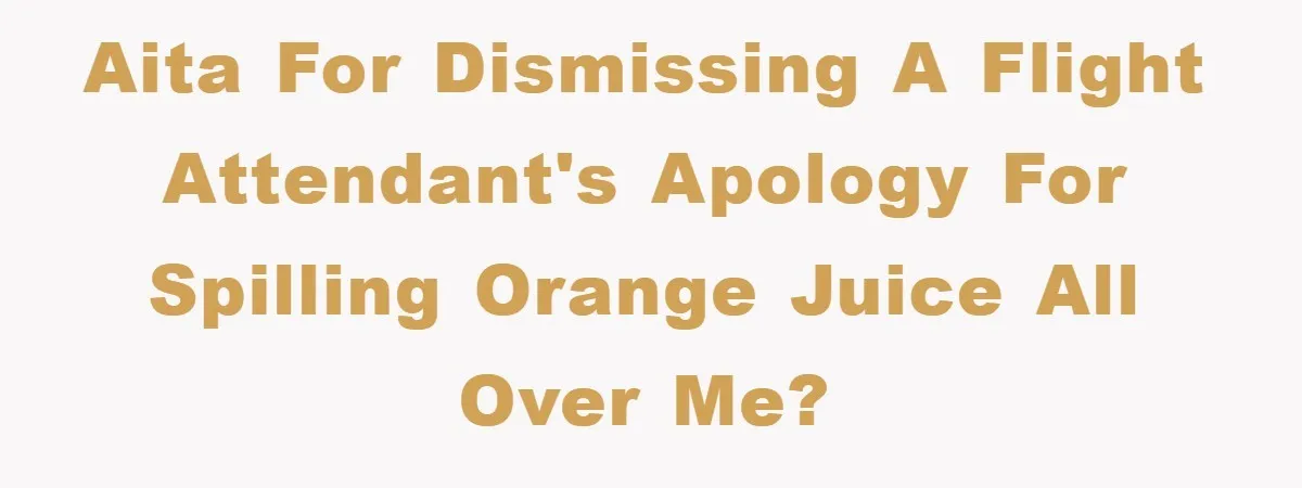 AITA for dismissing a flight attendant's apology for spilling orange juice all over me?