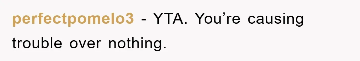 perfectpomelo3 - YTA. You’re causing trouble over nothing.