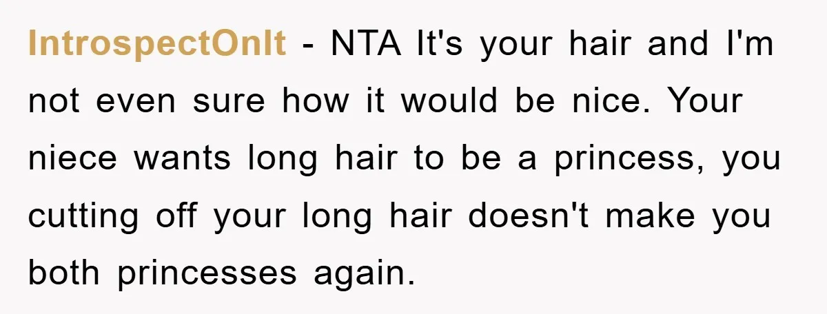 IntrospectOnIt − NTA It's your hair and I'm not even sure how it would be nice. Your niece wants long hair to be a princess, you cutting off your long...