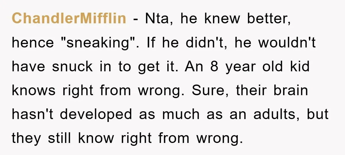 ChandlerMifflin − Nta, he knew better, hence "sneaking". If he didn't, he wouldn't have snuck in to get it. An 8 year old kid knows right from wrong. Sure, their...