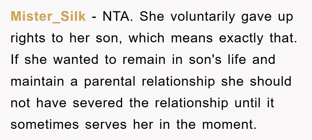 Mister_Silk − NTA. She voluntarily gave up rights to her son, which means exactly that. If she wanted to remain in son's life and maintain a parental relationship she should...