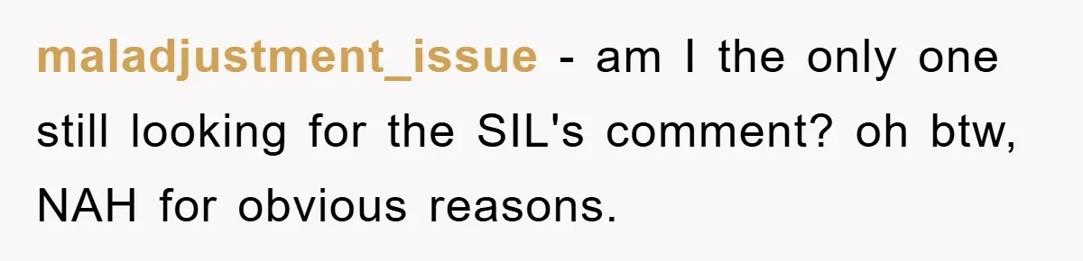 maladjustment_issue − am I the only one still looking for the SIL's comment? oh btw, NAH for obvious reasons.